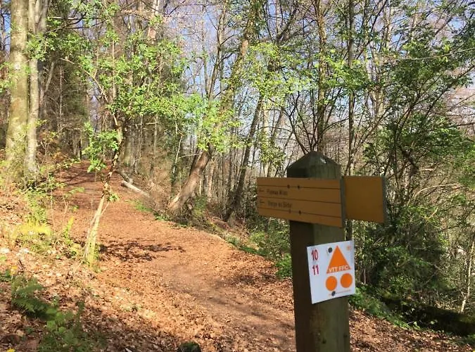 Pyrene Holidays - Spacieux Et Familial - Voyage Et Cure Thermale A De Bigorre *