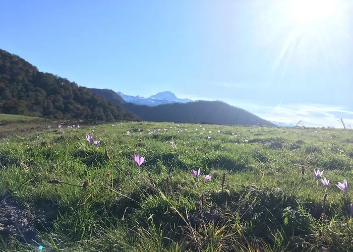 Pyrene Holidays - Spacieux Et Familial - Voyage Et Cure Thermale A De Bigorre 바네르드비고르