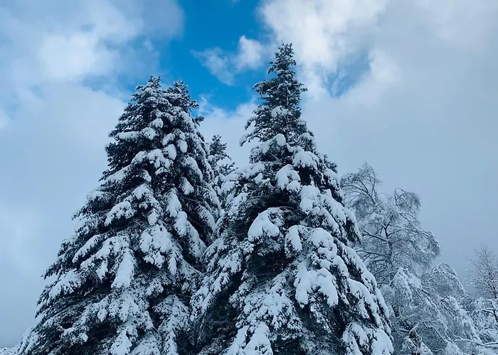 Pyrene Holidays - Spacieux Et Familial - Voyage Et Cure Thermale A De Bigorre 아파트 바네르드비고르